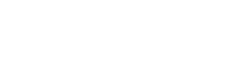 Zoan.cl